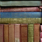 The Rise of E-books: Are Printed Novels Losing Their Charm?