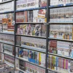 The Rise of Online Japanese Bookstores in a Digital Age